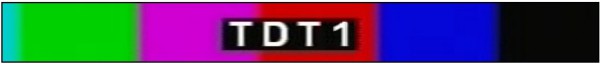 TDT1 logo1.jpg
