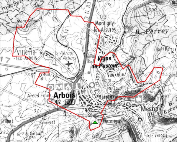 Arbois 1.JPG