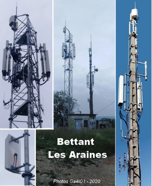 01 Bettant - Les Araines2020.jpg