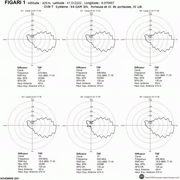 FIGARI 1 .gif