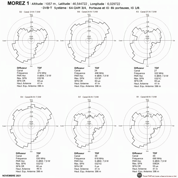 MOREZ 1.gif