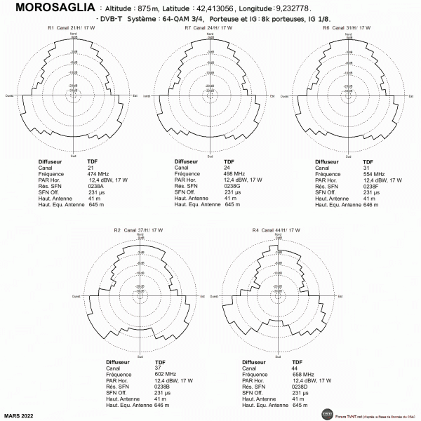 MOROSAGLIA.gif