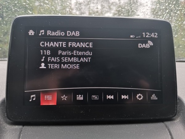 Chante_France+DLS.jpg