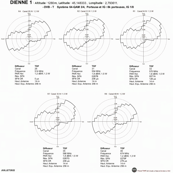 DIENNE 1.gif