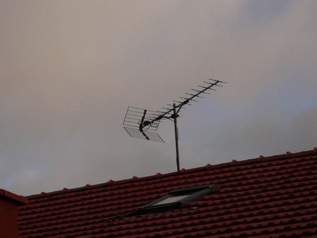 P1060426.JPG