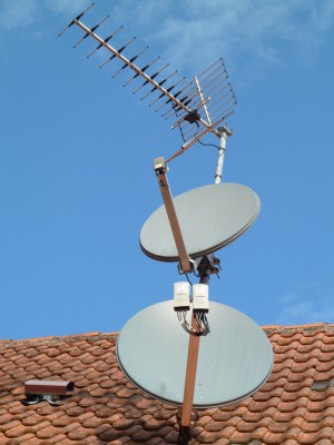 P1020806-1.JPG