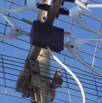 detail.jpg