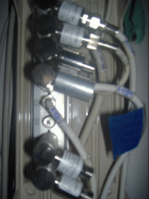 5.gif