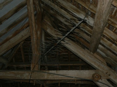 P1020328.JPG