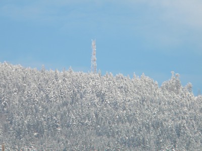Poêle Sauvage.jpg