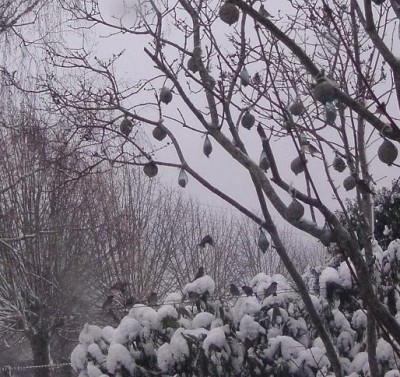 3 Décembre 2010 008 - Copie.JPG