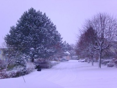 Neige 3 Déc. 2010 3 - Copie.JPG
