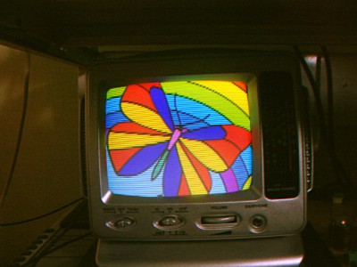 CR503_Papillon.jpg
