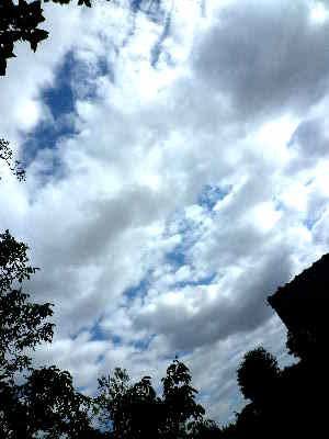 file2.jpg