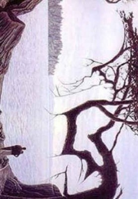 illusion-doptique-arbre-300x209.jpg