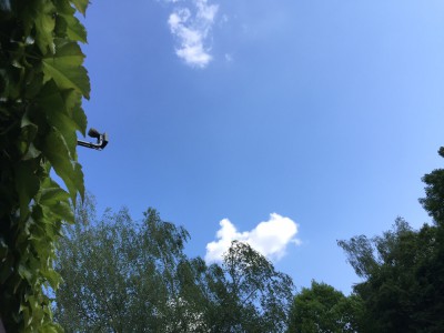 skyward.jpeg