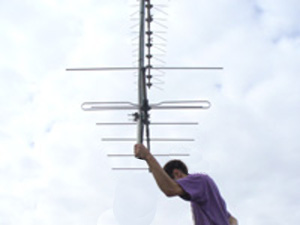 arton54604.jpg