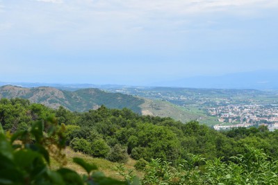 DSC_0005.jpg