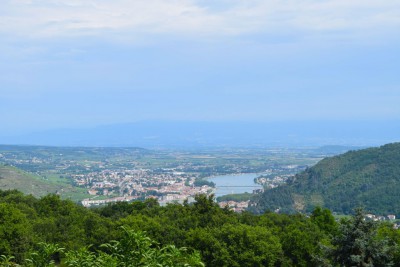 DSC_0006.jpg
