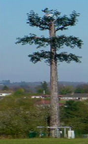 gsm_antenne.jpg