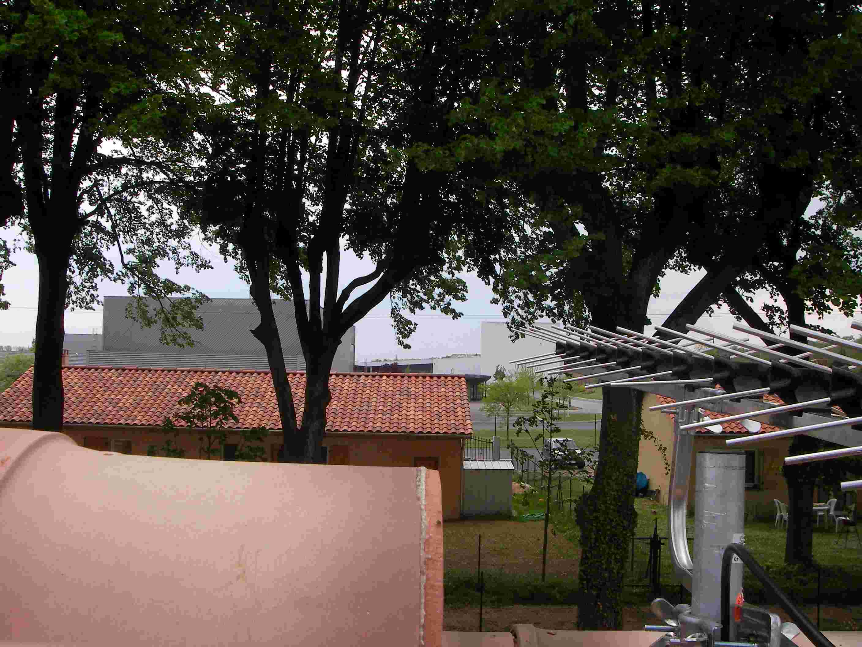 SANY0111.jpg