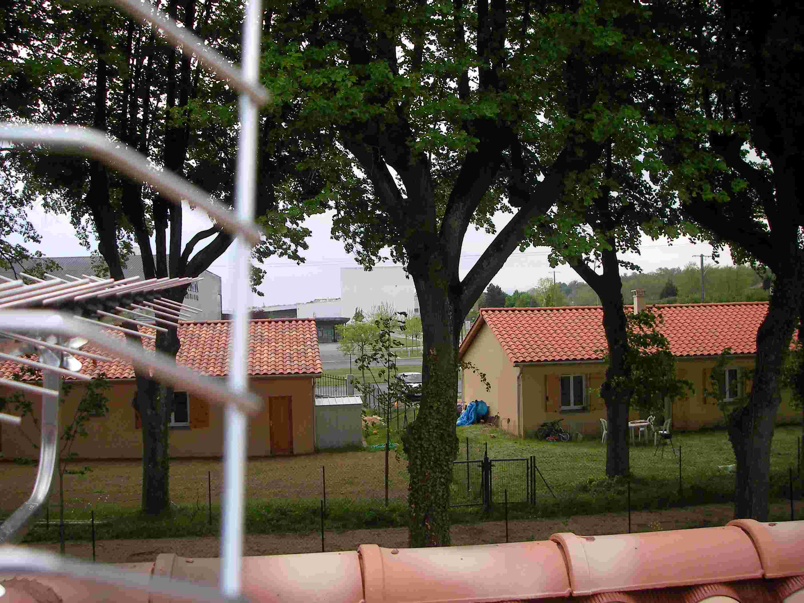SANY0112.jpg