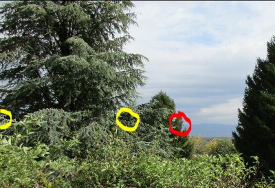 salève.jpg