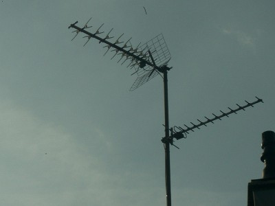 CIMG0975.jpg