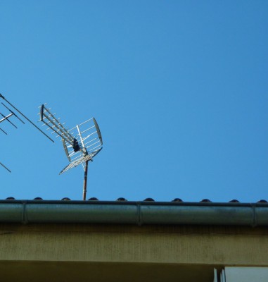 antenne.jpg