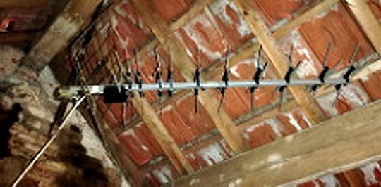 46972088052_199d43857c_m.jpg