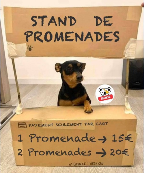 stand de promenades.jpeg