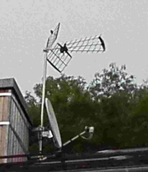 IMG_20200810_150942_BURST001_COVER_compress272.jpg