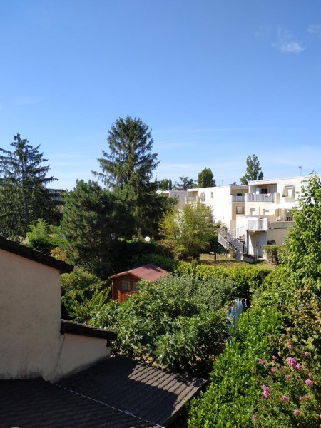rps20200815_150156.jpg