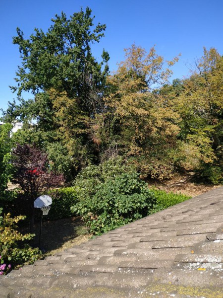 rps20200815_150224.jpg