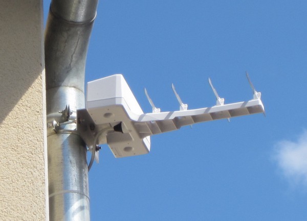 Antengrin-5red.jpg