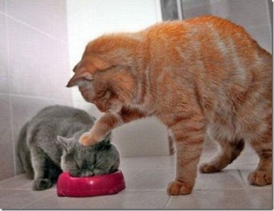 tais toi et mange.jpg