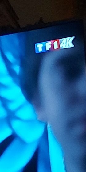 Logo tf14k.jpg