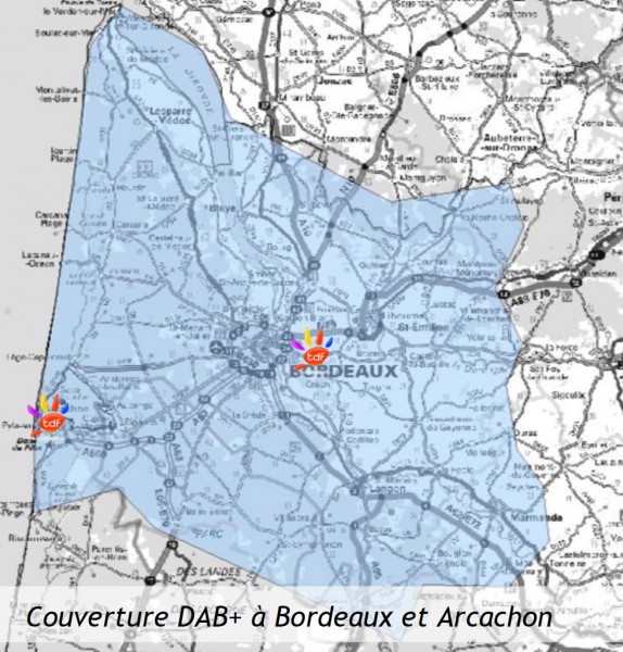 DAB BORDEAUX.jpg