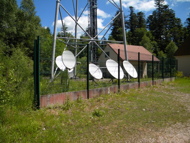 DSCN0031bis.jpg