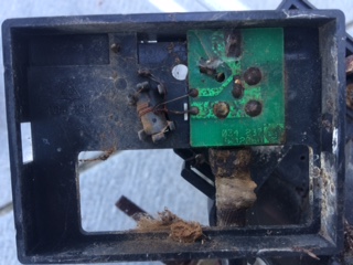 thumbnail_IMG_1776.jpg