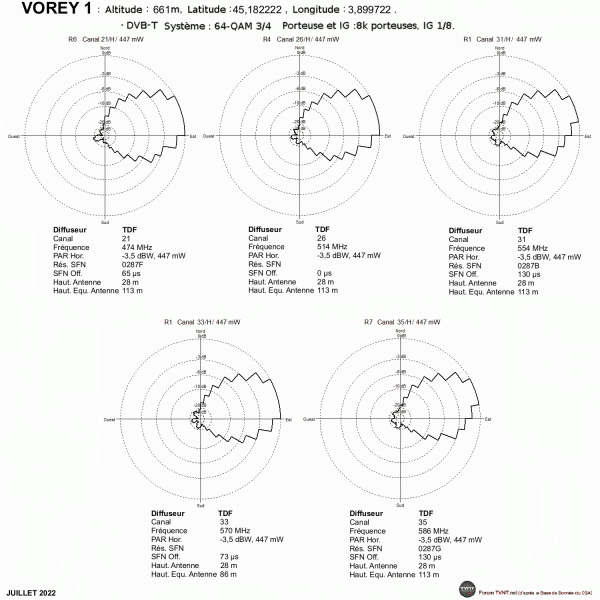 VOREY 1.gif