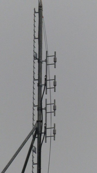 P1130441_mini.JPG