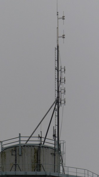 P1130440_mini.JPG