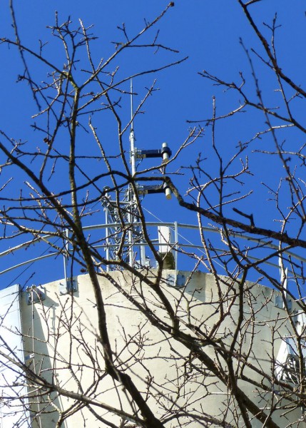 P1130473_mini.JPG