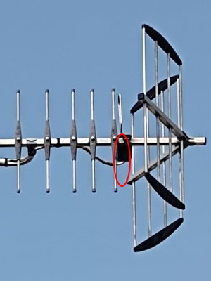Dipole.jpg