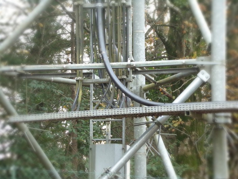 100_0380.JPG