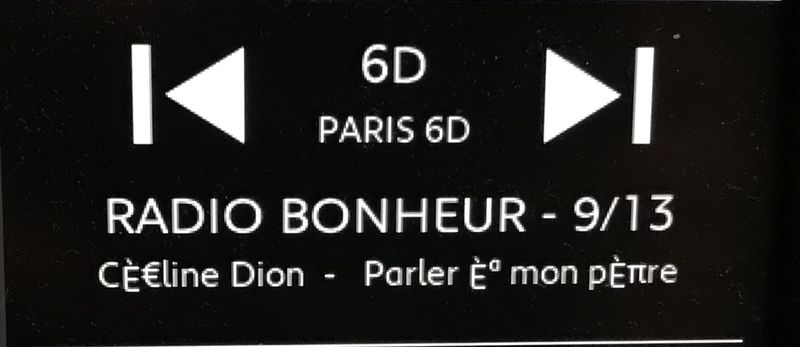 Bonheur_Dion_.jpg