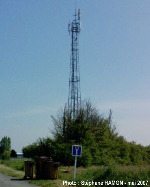 22yffiniac1.jpg