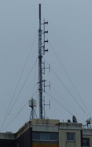 P1140415_min.JPG
