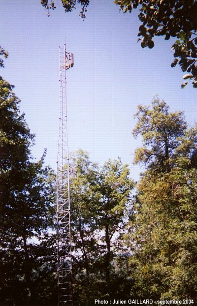 74arbusigny1.jpg
